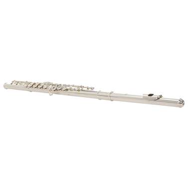 Di Zhao DZ601BEF Flute