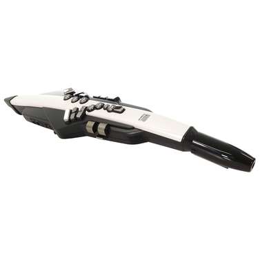 Roland AE20 Aerophone Digital Wind Instrument