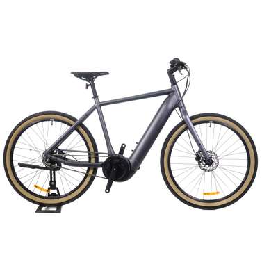 2022 Giant Momentum Transend