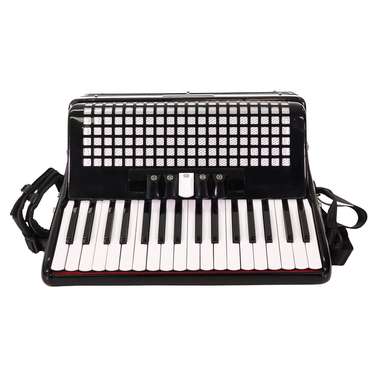 Paloma 72 Bass Piano Accordion