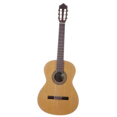 Altamira N-100