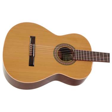 Altamira N-100