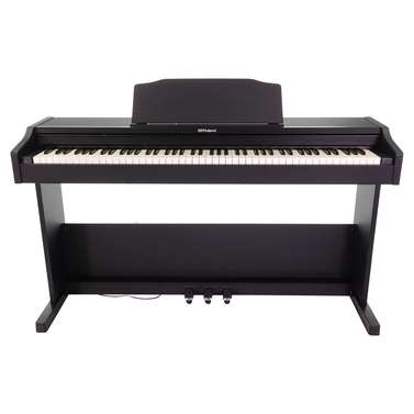 Roland RP102