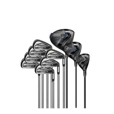 Cobra DS-Adapt 10 Piece Set - Steel Shaft