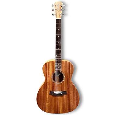 Cole Clark Studio AN1 All Mahogany Acoustic Guitar