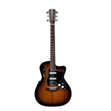 Cole Clark Studio True Hybrid HSS inc Gig Bag