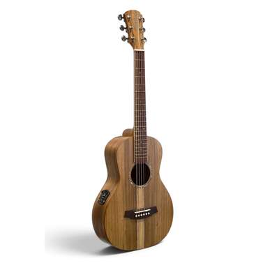 Cole Clark Parlour Mini All Blackwood Acoustic Guitar inc Gig Bag