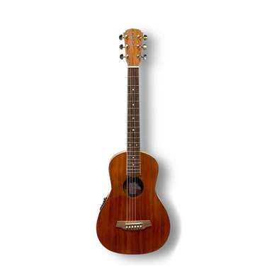 Cole Clark Parlour All Blackwood Acoustic Guitar inc Gig Bag
