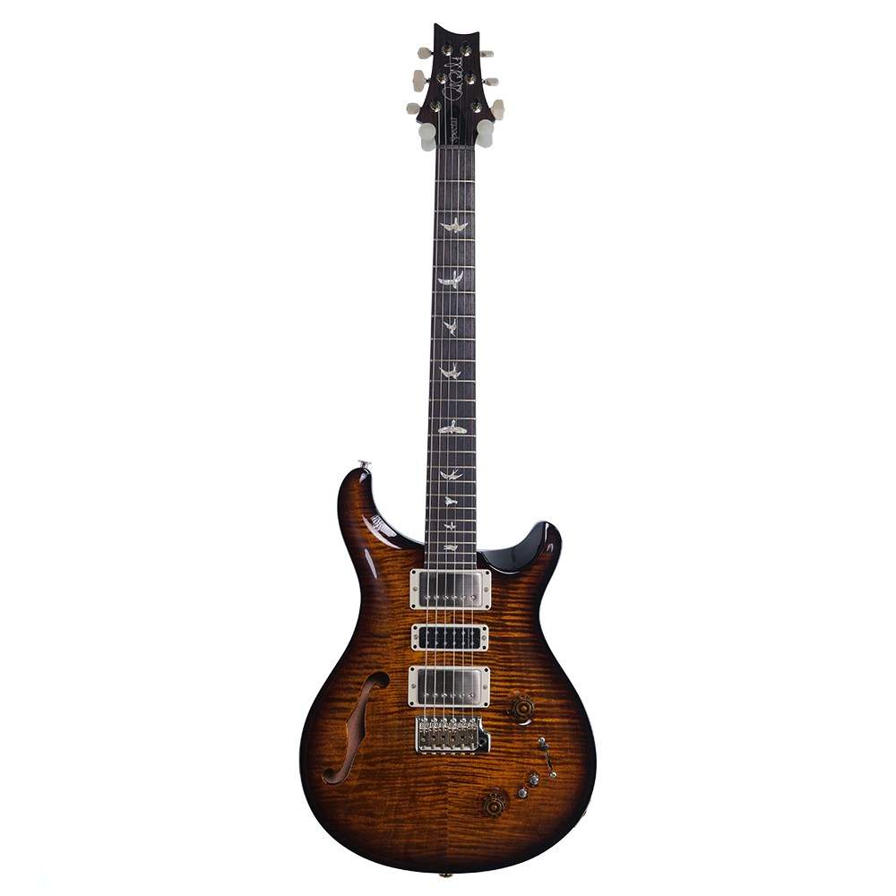 PRS SPECIAL 22 SEMI-HOLLOW (2023) | ヤマダウェブコム