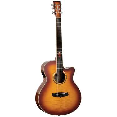 Tanglewood Winterleaf Exotic Super Folk Acoustic Guitar
