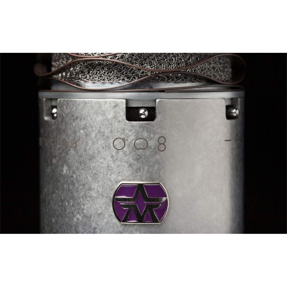 Aston Sprit Condenser Mic w/ SwiftShield Pop Filter / Shock